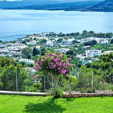 Pefkos Blue