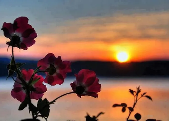 Aparthotel Pefkos Blue Pefki (Rhodes)