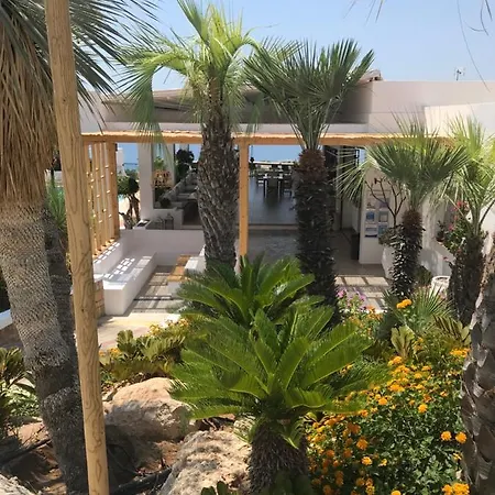 Pefkos Blue Pefki