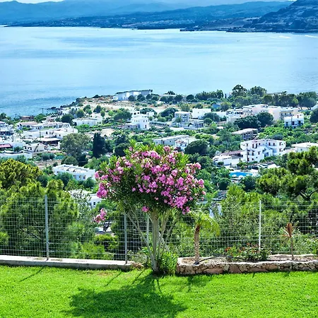 Pefkos Blue