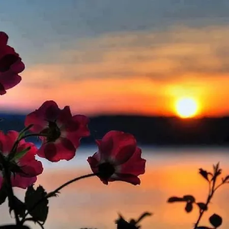 מלון דירות Pefkos Blue Pefki (Rhodes)