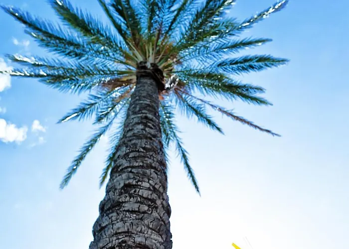 Pefkos Blue 4* Pefki (Rhodes)